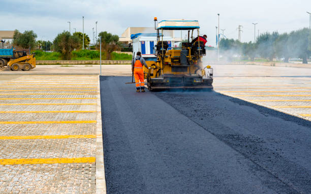 Best Custom Driveway Pavers  in Albion, MI